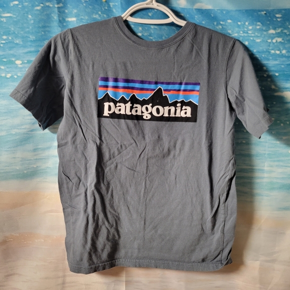 Patagonia Other - Patagonia‎ Youth Size Large/12 Tshirt